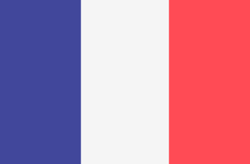 Current language flag